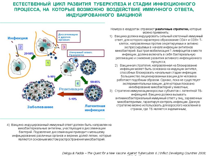 Delogu & Fadda – The Quest for a New Vaccine Against Tuberculosis 6 J